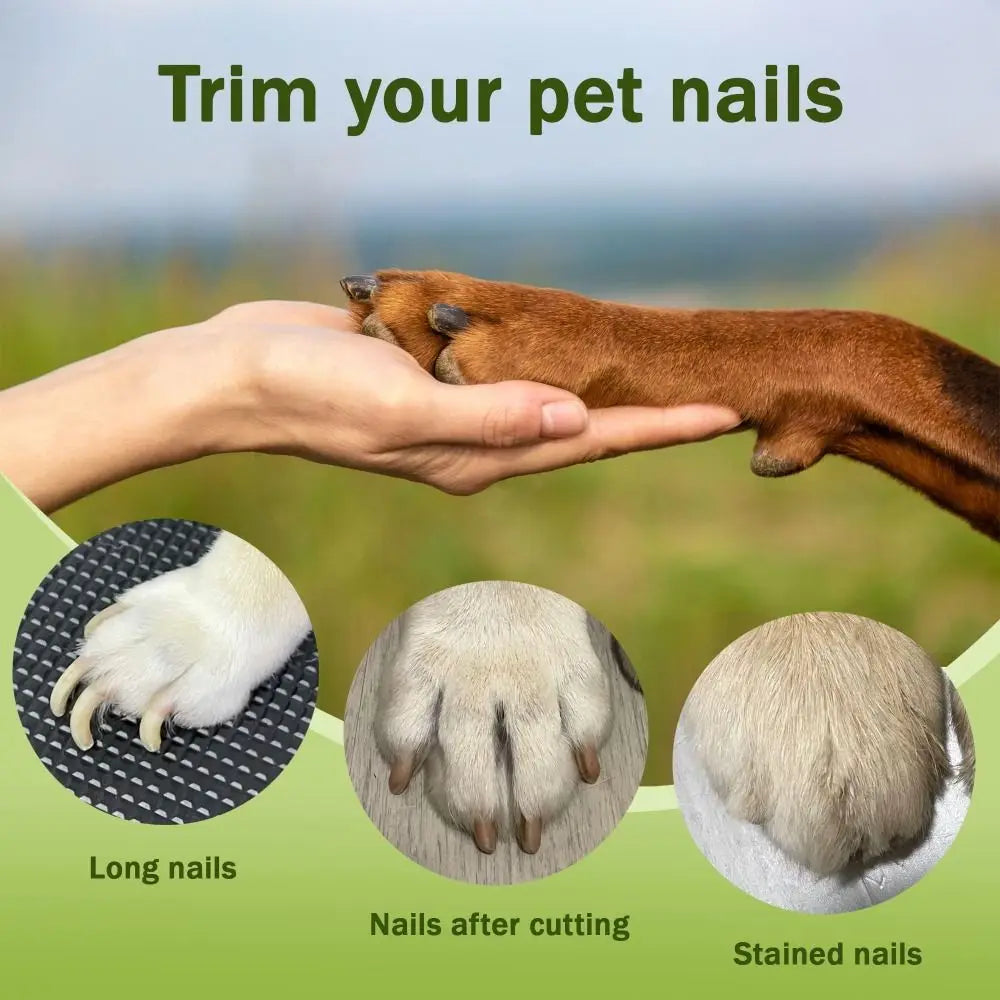 Coupe-griffes LED + Ponceuse pour chiens et Chats Avec Lumière LED- Evite Bléssures et Saignements