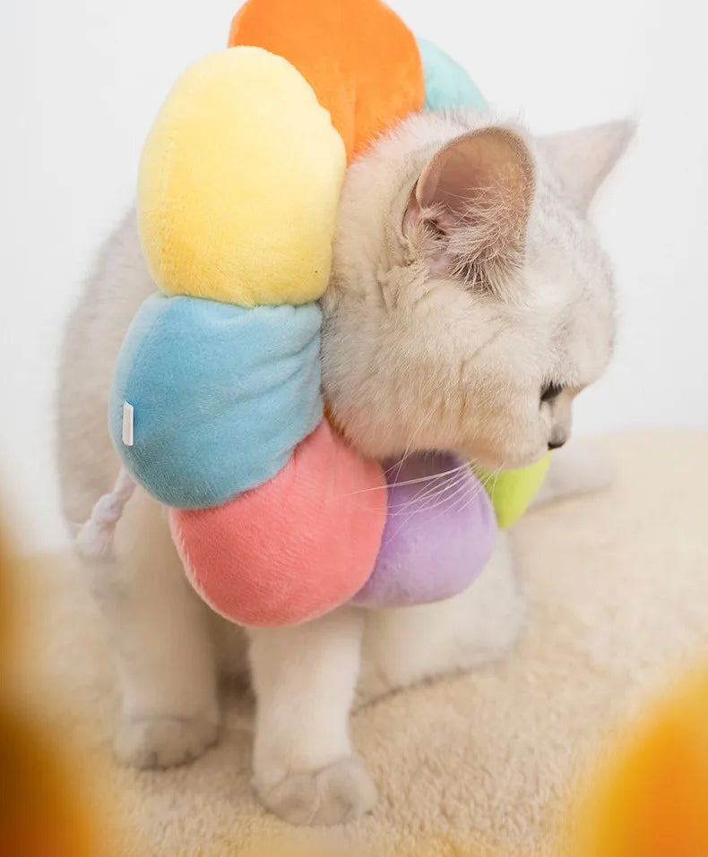 Collier Elisabéthain SUPER CONFORT pour Chats et Petits Chiens- Cicatrisation Post-Opératoire