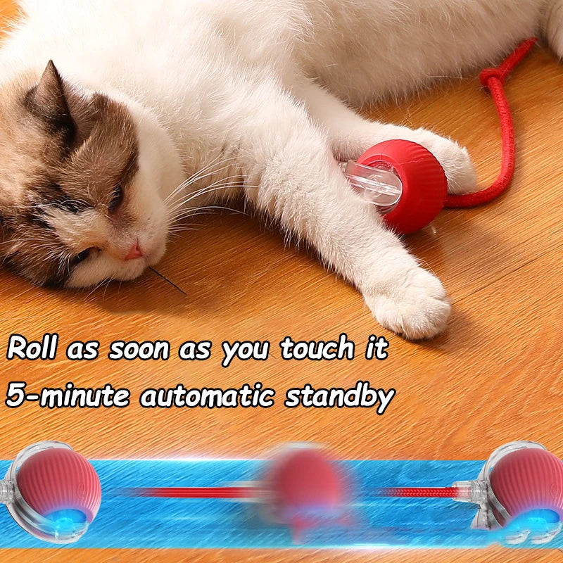 Jouet Interactif pour Chat- Balle Roulante Automatique- Rechargeable- Reproduit les Mouvements des souris !