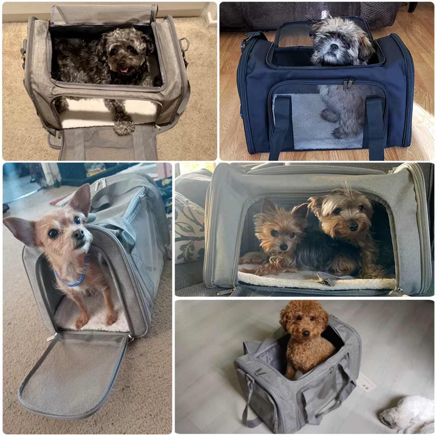 Sac de Transport Aérien pour Chien & Chat –  Robuste et Confortable