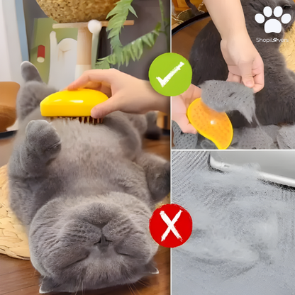 Brosse à Vapeur Pour Chats et Chiens- Avec Réservoir d'Eau et d'Huile Essentielle