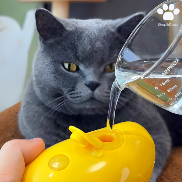 Brosse à Vapeur Pour Chats et Chiens- Avec Réservoir d'Eau et d'Huile Essentielle