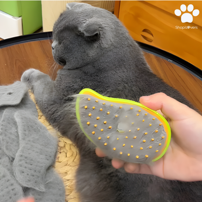 Brosse à Vapeur Pour Chats et Chiens- Avec Réservoir d'Eau et d'Huile Essentielle