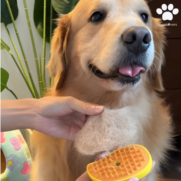 Brosse à Vapeur Pour Chats et Chiens- Avec Réservoir d'Eau et d'Huile Essentielle