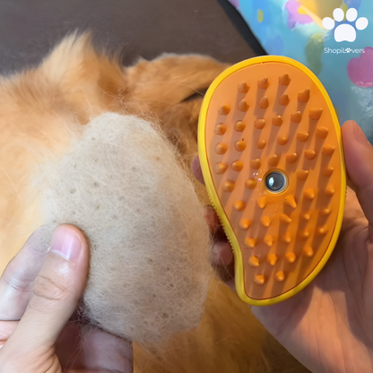 Brosse à Vapeur Pour Chats et Chiens- Avec Réservoir d'Eau et d'Huile Essentielle