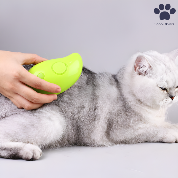 Brosse à Vapeur Pour Chats et Chiens- Avec Réservoir d'Eau et d'Huile Essentielle