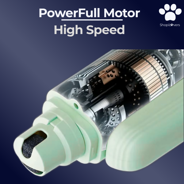 Coupe-griffes LED + Ponceuse pour Chiens et Chats Avec Lumière LED- Evite Bléssures et Saignements