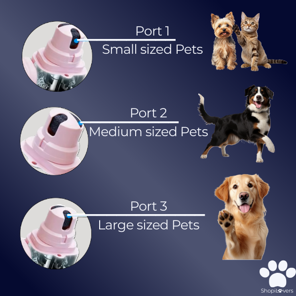 Coupe-griffes LED + Ponceuse pour Chiens et Chats Avec Lumière LED- Evite Bléssures et Saignements