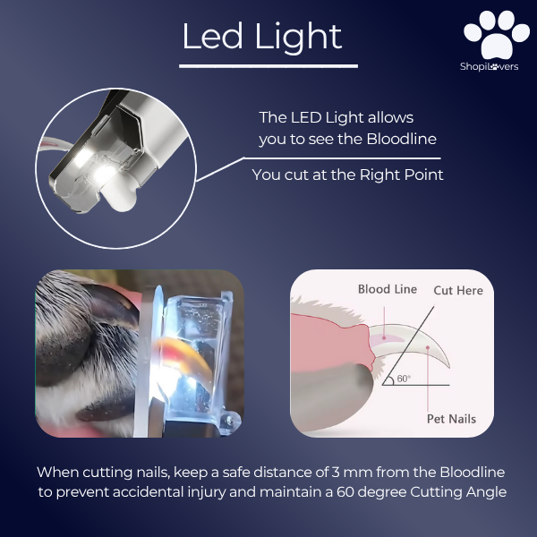 Coupe-griffes LED + Ponceuse pour Chiens et Chats Avec Lumière LED- Evite Bléssures et Saignements
