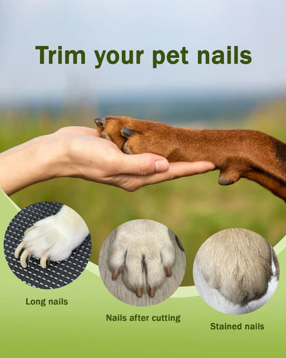 Coupe-griffes LED + Ponceuse pour chiens et Chats Avec Lumière LED- Evite Bléssures et Saignements