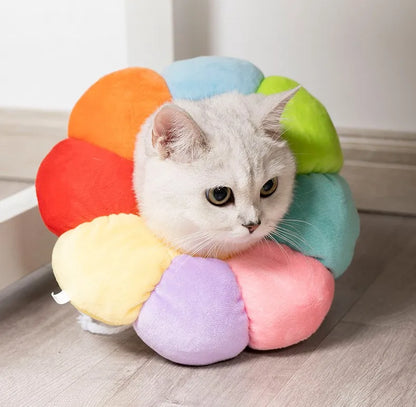 Collier Elisabéthain SUPER CONFORT pour Chats et Petits Chiens- Cicatrisation Post-Opératoire