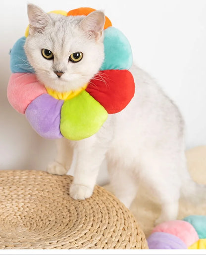 Collier Elisabéthain SUPER CONFORT pour Chats et Petits Chiens- Cicatrisation Post-Opératoire