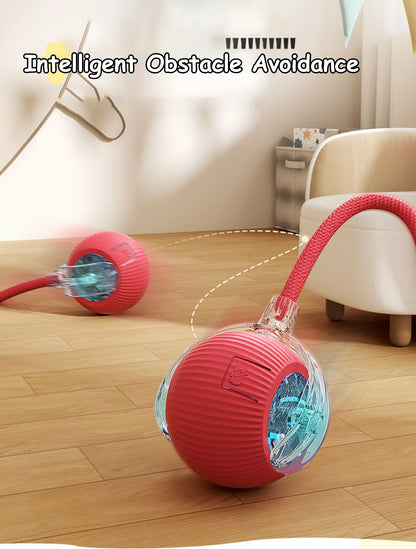 Jouet Interactif pour Chat- Balle Roulante Automatique- Rechargeable- Reproduit les Mouvements des souris !