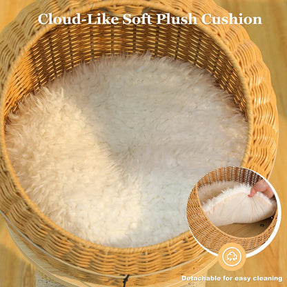 Arbre à Chat Dinosaure 3-en-1 – Tour XXL en Rotin et Griffoir Sisal | Design Premium