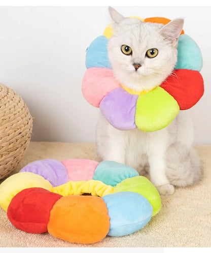 Collier Elisabéthain SUPER CONFORT pour Chats et Petits Chiens- Cicatrisation Post-Opératoire