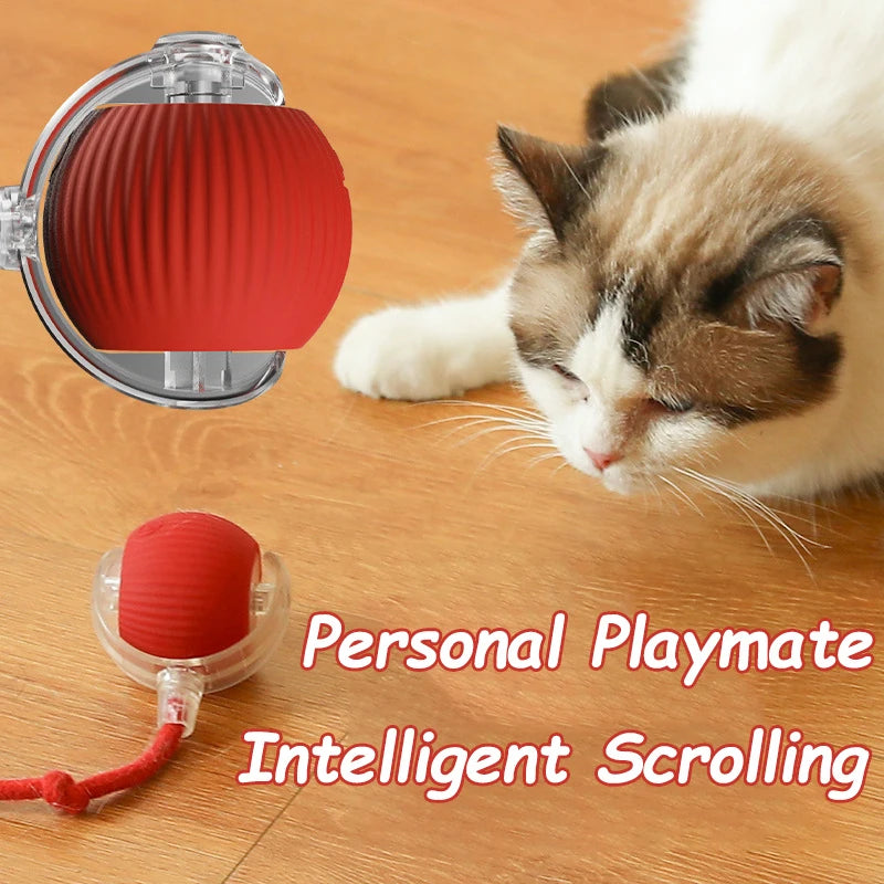 Jouet Interactif pour Chat- Balle Roulante Automatique- Rechargeable- Reproduit les Mouvements des souris !