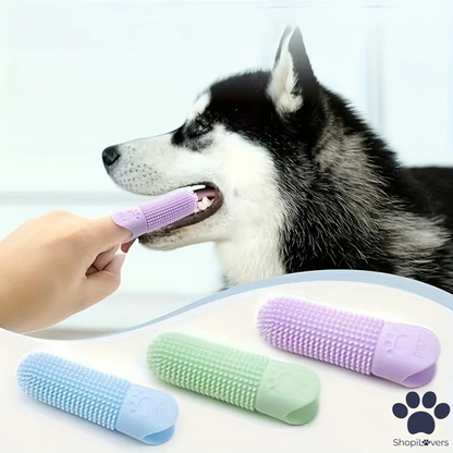 Brosse à Dents en Silicone 360°- Pour Chats & Chiens