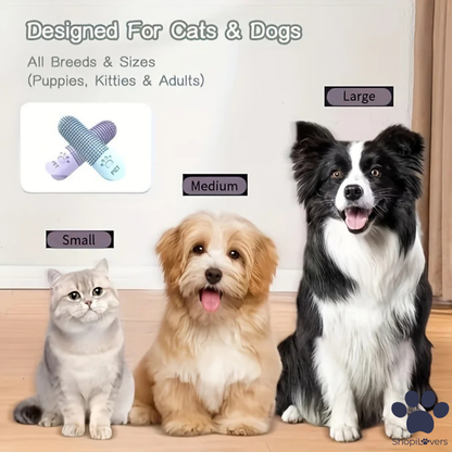 Brosse à Dents en Silicone 360°- Pour Chats & Chiens