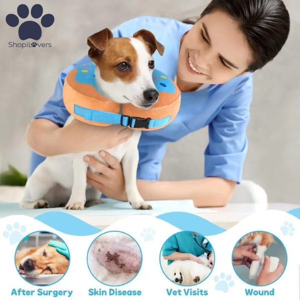 Collier Donut Gonflable Chiens- Alternative au Cône Elizabeth-Post-Opératoire Super Confort