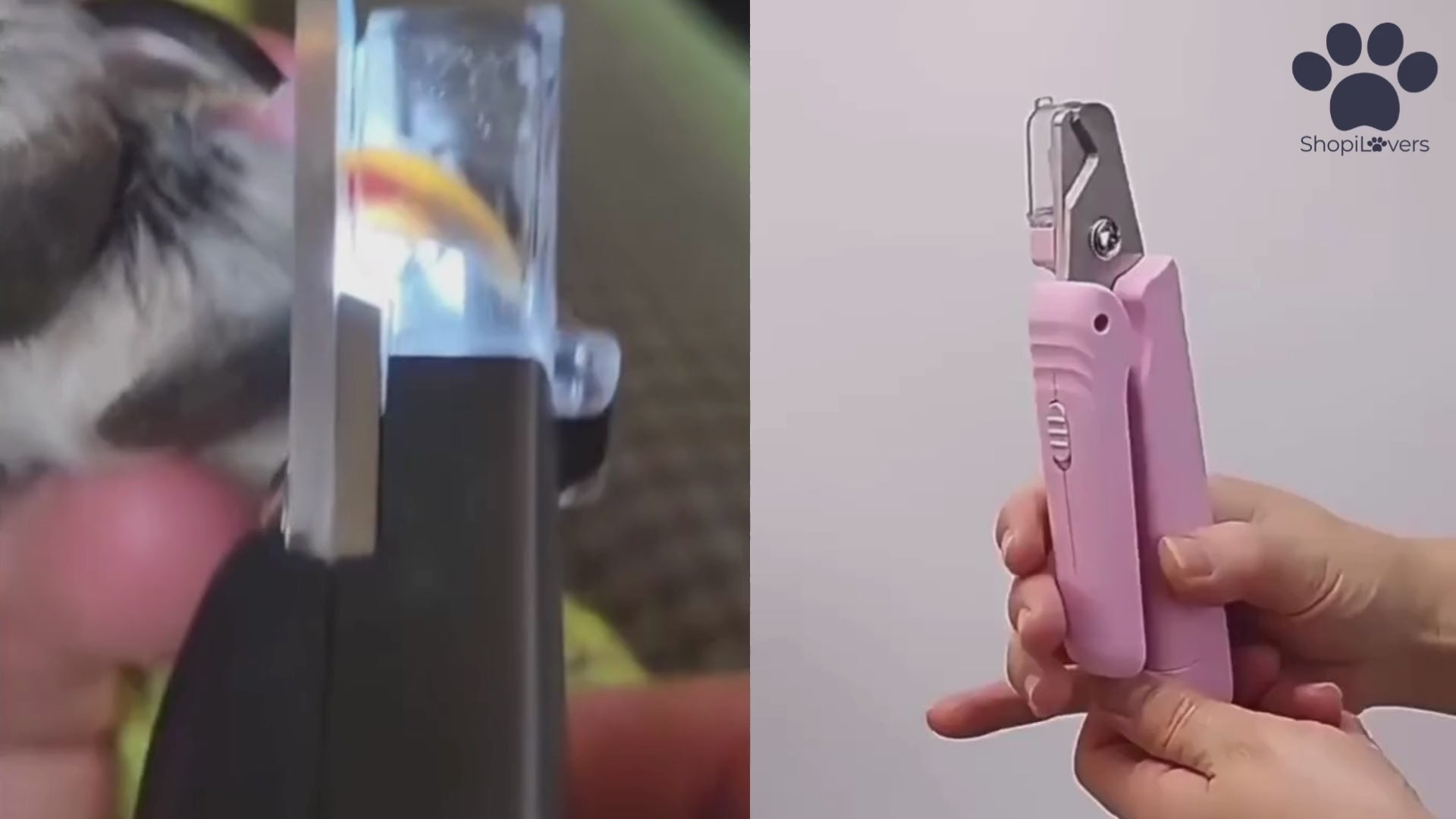 Charger la vidéo : 