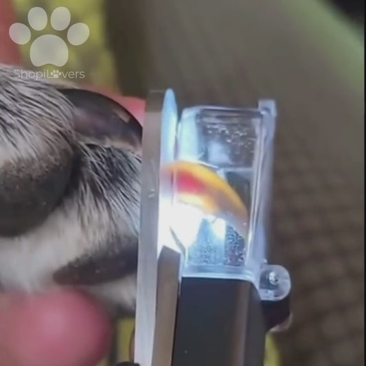 LED Nail Clipper + Nail Grinder for Dogs and Cats with LED Light - Prevents Injuries and Bleeding