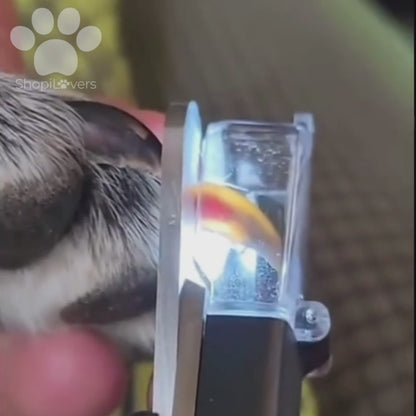 Coupe-griffes LED + Ponceuse pour Chiens et Chats Avec Lumière LED- Evite Bléssures et Saignements