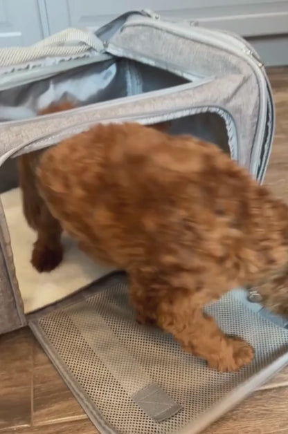 Sac de Transport Aérien pour Chien & Chat –  Robuste et Confortable