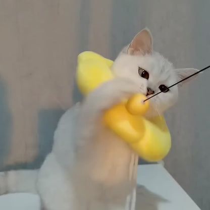 Collier Elisabéthain SUPER CONFORT pour Chats et Petits Chiens- Cicatrisation Post-Opératoire