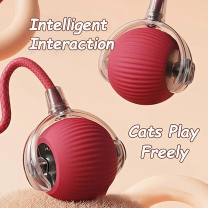 Jouet Interactif pour Chat- Balle Roulante Automatique- Rechargeable- Reproduit les Mouvements des souris !